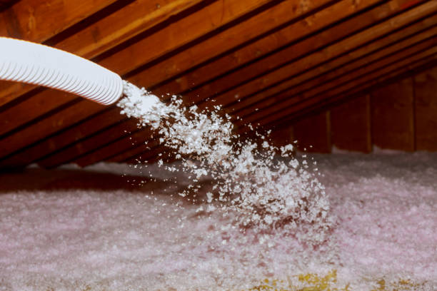 Best Fiberglass Insulation in Newcastle, WA