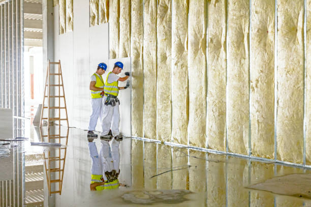 Best Blown-in Insulation in Newcastle, WA